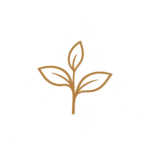 Traceable harvest icon