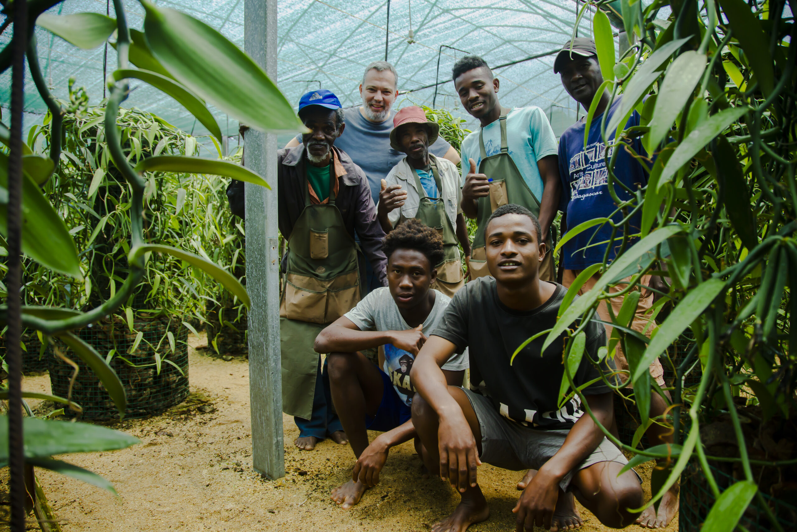 Nous la cultivons